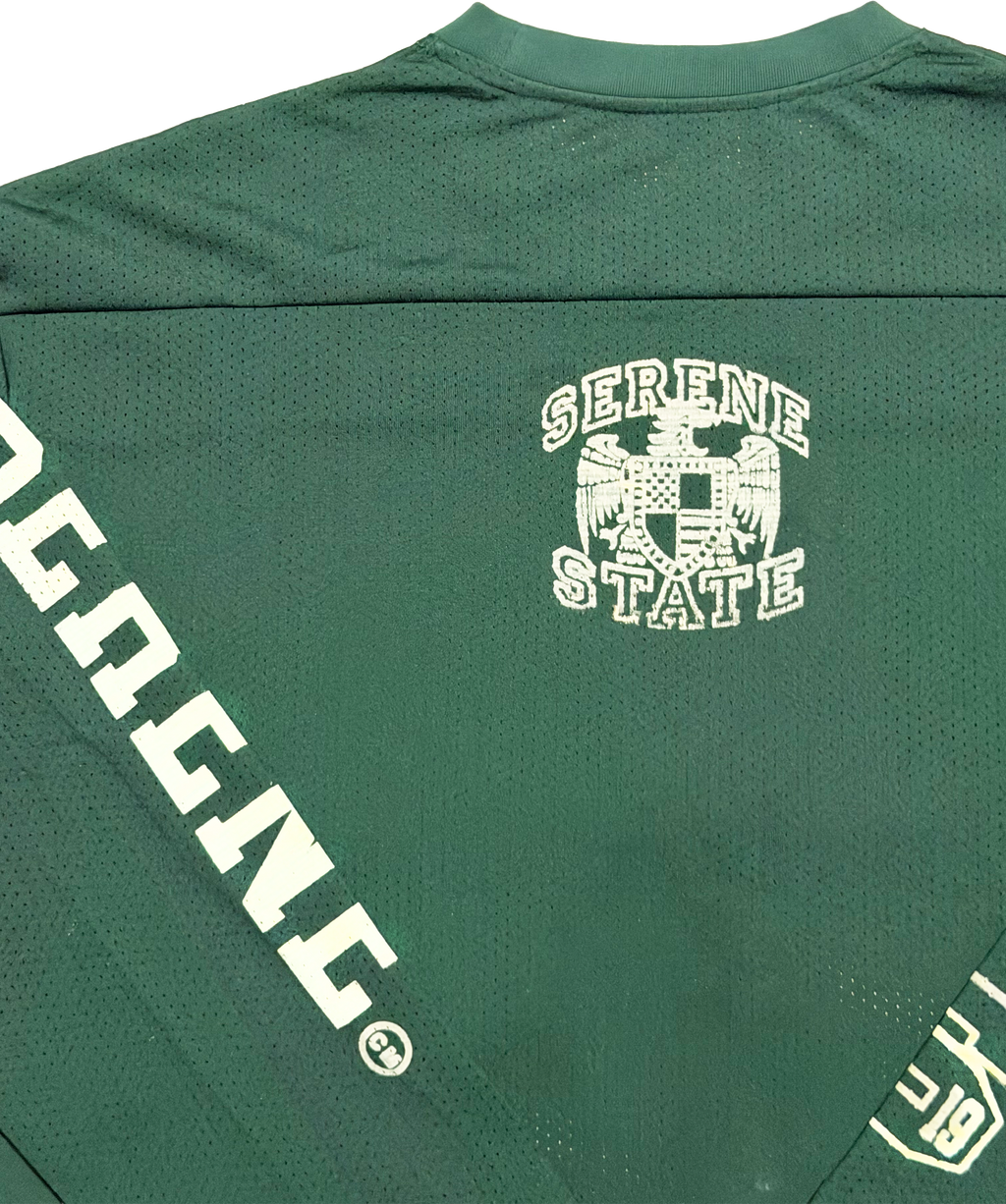 SERENE NINETEEN JERSEY - Fern Green