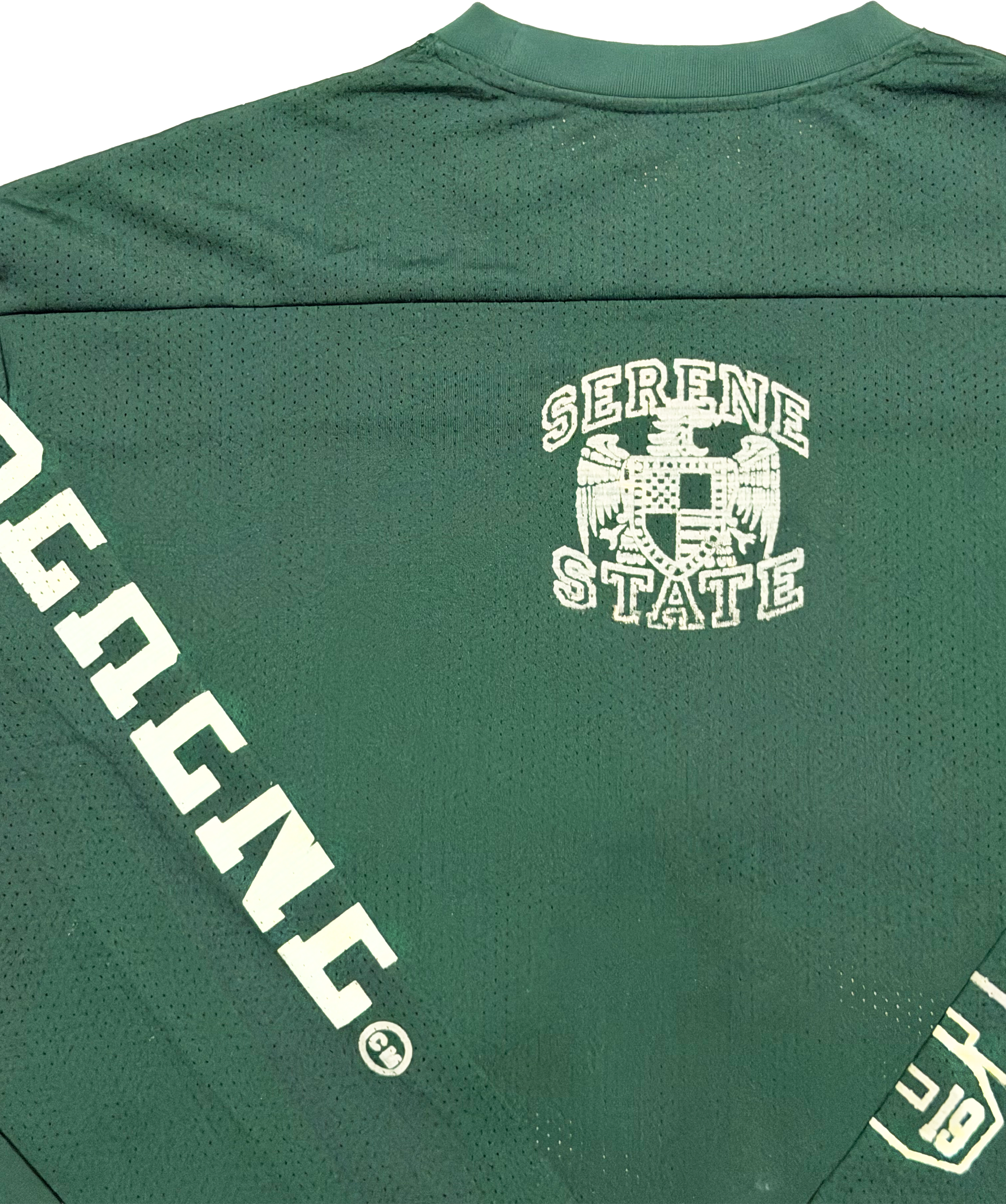 SERENE NINETEEN JERSEY - Fern Green